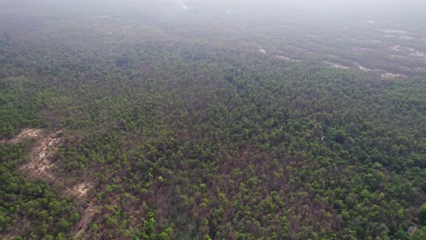 green-dense-forest-of-Nepal