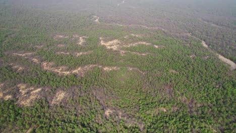 Bosque-Denso-Y-Verde-De-Nepal