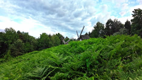 Exuberante-Paisaje-Verde-Con-Molinos-De-Viento-Tradicionales-Bajo-Un-Cielo-Nublado-En-Rocca-Al-Mare,-Tallin