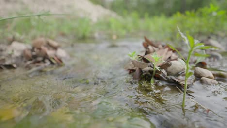 Wasserfluss-Im-Fluss