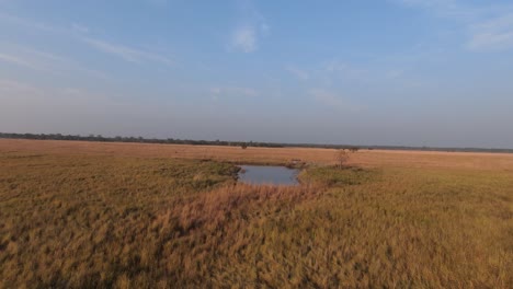 Grasland-Im-Dschungel-Von-Nepal