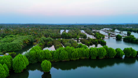 Gottes-Eigenes-Land-In-Indien-Alleppey,-Mangroven-In-Kerala-Küstengebiet-Mit-Kokospalmen-Gefüllt,-Die-Natur