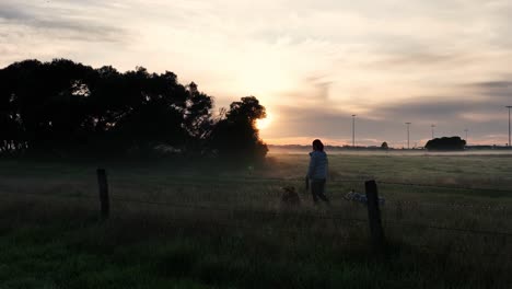 Tracking-along-fence-line-as-woman-walks-dogs-with-sunrise-in-the-background