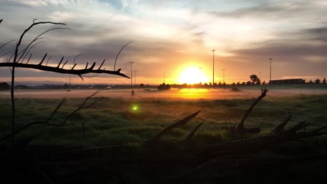 Camera-zooming-towards-sunrise-with-woman-walking-her-dogs-on-a-cold-field-with-long-grass