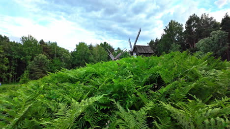 Slowmotion-in-the-green-nature-of-Tallinn,-Estonia-with-two-windmills-in-the-background-and-lots-of-green-grass-and-trees