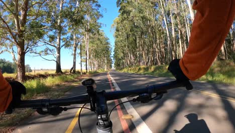 Cyclist-on-a-bike-path-shared-with-a-tree-lined-highway,-hyperlapse-capture