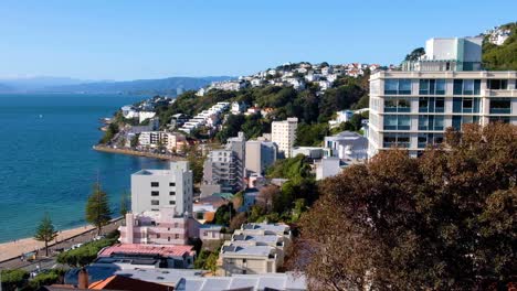 Houses-and-apartments-nestled-amongst-trees-on-Mt-Vic-overlooking-Oriental-Bay-and-harbour-in-Wellington,-New-Zealand-Aotearoa