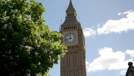 La-Torre-Del-Reloj-Big-Ben-Se-Eleva-Sobre-Un-árbol-Verde-En-Un-Día-Soleado-En-Londres,-Inglaterra