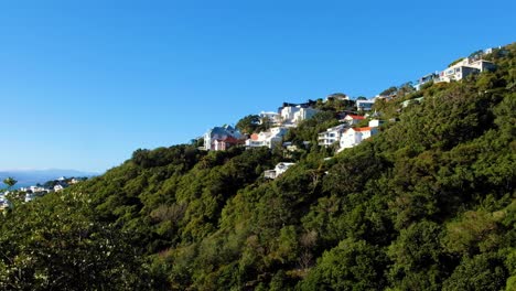 Beautiful-NZ-houses-nestled-amongst-trees-on-Mt-Vic-hillside-overlooking-harbour-water-views-in-Wellington,-New-Zealand-Aotearoa