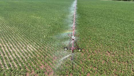 A-farm-field-in-central-Wisconsin-is-irrigated-with-a-sprinkler-system