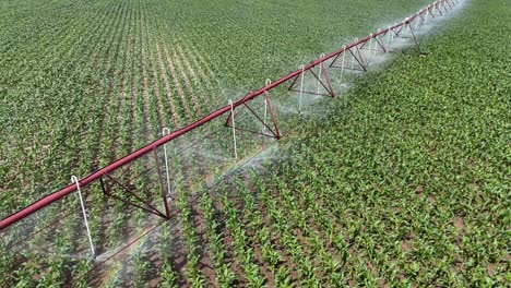 Un-Campo-Agrícola-En-El-Centro-De-Wisconsin-Se-Riega-Con-Un-Sistema-De-Aspersores.