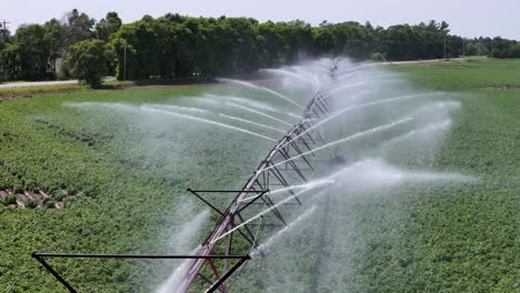 Un-Campo-Agrícola-En-El-Centro-De-Wisconsin-Se-Riega-Con-Un-Sistema-De-Aspersores.