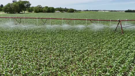 Ein-Acker-Im-Zentrum-Von-Wisconsin-Wird-Mit-Einer-Sprinkleranlage-Bewässert