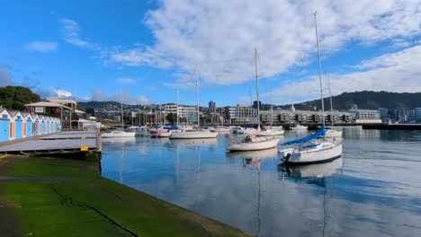 Vista-Panorámica-Del-Puerto-Deportivo-De-Chaffers-Con-Icónicos-Cobertizos-Para-Barcos-Y-Barcos-Amarrados-En-Oriental-Bay,-Wellington,-Nueva-Zelanda-Aotearoa