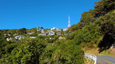 Houses-nestled-amongst-trees-on-Mt-Vic-with-view-of-tower-at-summit-in-Wellington,-New-Zealand-Aotearoa