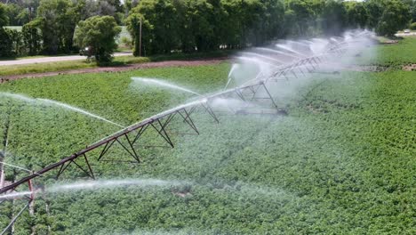 Un-Campo-Agrícola-En-El-Centro-De-Wisconsin-Se-Riega-Con-Un-Sistema-De-Aspersores.