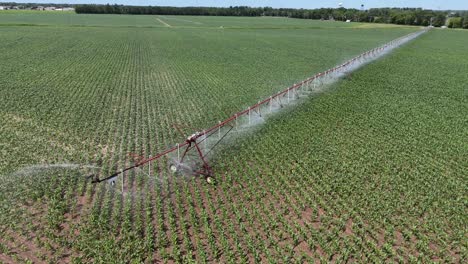 Un-Campo-Agrícola-En-El-Centro-De-Wisconsin-Se-Riega-Con-Un-Sistema-De-Aspersores.