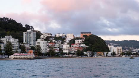 Early-morning-overlooking-shimmering-water-of-Oriental-Bay,-residential-houses-and-apartments,-and-harbour-in-Wellington,-New-Zealand-Aotearoa