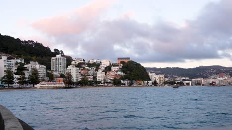 Blick-Auf-Die-Oriental-Bay-Mit-Häusern-Und-Wohnungen-Zwischen-Bäumen-Entlang-Der-Uferpromenade-In-Wellington,-Neuseeland-Aotearoa