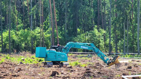 Bagger-Mit-Pflanzkopfaufsatz-Bei-Der-Waldarbeit-An-Einem-Sonnigen-Tag