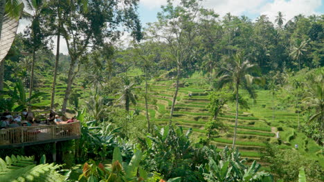 Tourists-At-Tis-Cafe-Enjoy-Holidays-with-View-on-Terraced-Rice-Fields-in-Beautiful-Ubud-Bali-Jungle---slow-pan-reveal