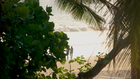 Los-Viajeros,-Las-Parejas-Disfrutan-Caminando-Al-Atardecer-En-La-Playa-De-Arena-De-Seminyak-Junto-Al-Mar-A-Lo-Largo-De-La-Costa---Vista-De-Gran-ángulo-A-Través-De-Hojas-De-Palmeras-Tropicales-Y-Arbustos-Verdes