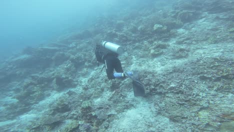 Un-Buzo-Nada-Sobre-Un-Arrecife-De-Coral-En-Raja-Ampat,-Indonesia,-Explorando-El-Paisaje-Submarino