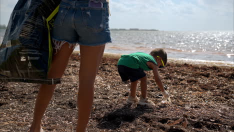 Slow-motion-of-a-young-mexican-latin-boy-volunteering-to-clean-a-beach-full-of-Sargasso-in-Cancun-Mexico