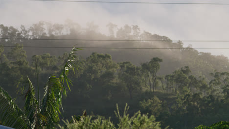 Nebelige-Wolken-An-Einem-Kalten-Morgen-Fegen-über-Die-Baumwipfel-Des-Mount-Louisa,-Im-Hohen-Norden-Von-Queensland,-Australien