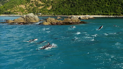 Eine-Gruppe-Schwarzdelfine-Springt-Aus-Dem-Meer,-Während-Sie-In-Zeitlupe-An-Einer-Felsigen-Küste-Entlangschwimmen