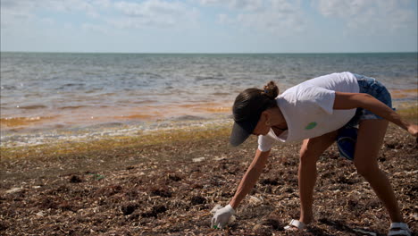 Slow-motion-of-a-brunette-mexican-latin-woman-with-a-white-t-shirt-and-denim-short-volunteering-to-clean-a-beach-full-of-sargasso-in-Cancun-Mexico