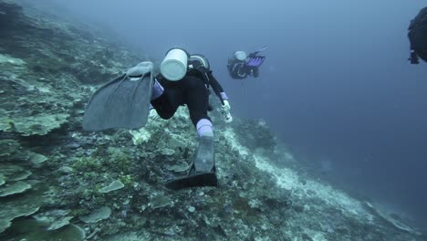 Dos-Buzos-Exploran-Un-Arrecife-De-Coral-En-Raja-Ampat,-Indonesia,-Nadando-Uno-Al-Lado-Del-Otro.