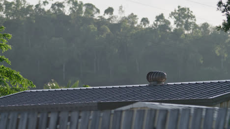 A-whirlybird-on-a-metal-shed-roof-with-a-wooden-fence-in-the-foreground-and-a-mountain-with-trees-in-the-background,-Townsville,-Queensland