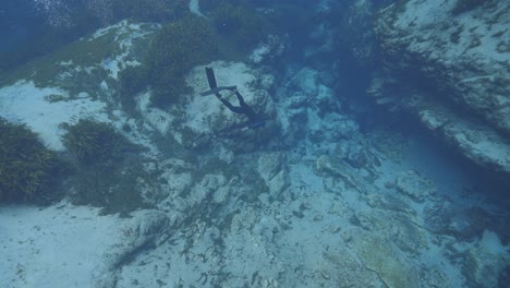 Diver-diving-down-to-deep-underwater-rock-overhangs