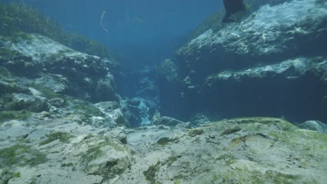 Underwater-view-of-diver-swimming-down-into-rocky-cave