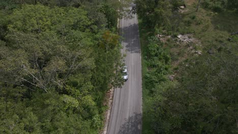 Aerial-top-down-view-of-car-driving-on-paved-road,-surrounded-by-forest-nature