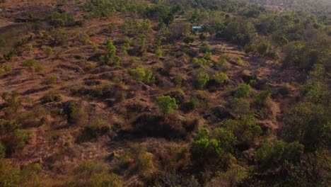 Una-Toma-De-Drone-Captura-La-Belleza-De-Las-Terrazas-Agrícolas-Tradicionales-Junto-A-Las-Laderas-Del-Monte-Agung,-Bali