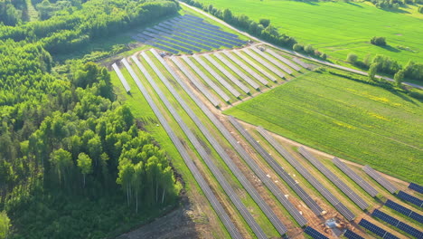 Reihen-Von-Solarmodulen-In-Einem-Standort-Zur-Erzeugung-Erneuerbarer-Energien-In-Der-Nähe-Des-Waldrandes-In-Ländlicher-Gegend