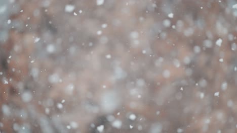 Snowflakes-dance-in-a-snowstorm,-seen-in-a-close-up-shot-with-a-tree-of-withered-leaves-in-the-background