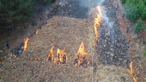 Kontrolliertes-Abbrennen,-Luftdrohne-Eines-Kontrollierten-Brandes-Im-Wald-Herauszoomen