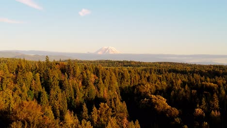 Vista-Aérea-Panorámica-Del-Monte-Rainier-Mientras-Vuela-Sobre-El-Bosque-Siempre-Verde-Durante-La-Puesta-De-Sol