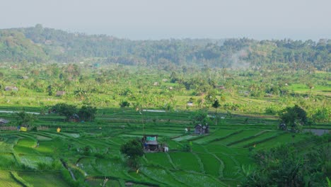 A-drone-flies-over-a-vibrant,-green-landscape-of-terraced-rice-paddies-in-the-Maha-Gangga-Valley