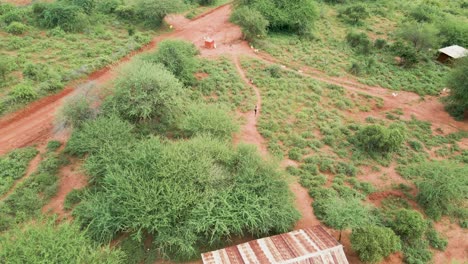 Kinder-Laufen-Auf-Einem-Feldweg-In-Einem-üppigen-Afrikanischen-Dorf-Mit-Verstreuten-Häusern-Und-Grüner-Landschaft