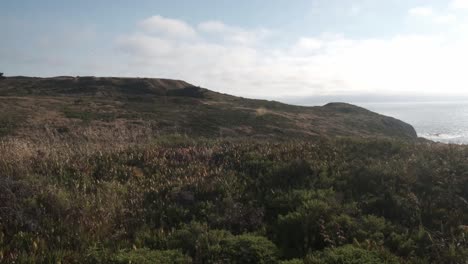 Marin-Headlands-in-Sausalito,-California,-showcasing-sweeping-views-of-rugged-hills-and-the-Pacific-Ocean-framed-by-lush-greenery-and-coastal-cliffs