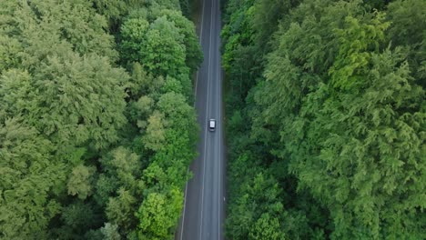 Coche-Que-Viaja-Solo-Por-Una-Carretera-Sinuosa-A-Través-De-Un-Exuberante-Bosque-Verde,-Capturando-La-Esencia-De-Un-Viaje-Tranquilo-En-Medio-De-La-Naturaleza.