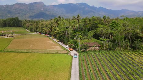 Aerial-view-of-colorful-VW-Car-crossing-on-the-road-in-the-middle-of-rice-field-and-menoreh-hill-on-the-background