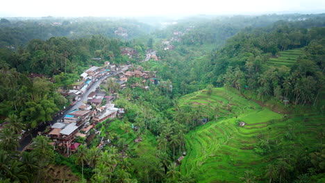 Concrete-and-steel-rise-where-once-only-green-of-rice-crops-thrived,-aerial