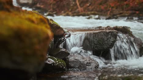 Bachwasser-Fließt-über-Moosbedeckte-Felsen-An-Einem-Bewölkten-Tag-Im-Ländlichen-Norden-Des-Staates-New-York