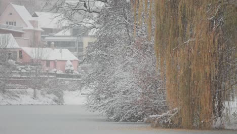 Una-Serena-Vista-Invernal-Del-Tranquilo-Barrio-De-Praga,-Donde-árboles-Y-Casas-Cubiertos-De-Nieve-Rodean-Un-Pequeño-Estanque