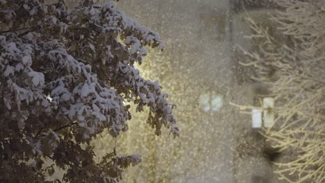 Snow-covered-trees-and-ground-are-gently-adorned-with-falling-snowflakes,-softly-lit-by-a-streetlight